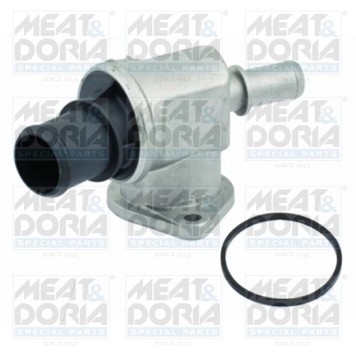 Thermostat, coolant